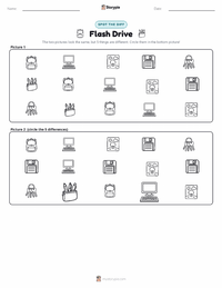 Flash Drive printable worksheet preview