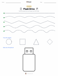 Flash Drive printable worksheet preview