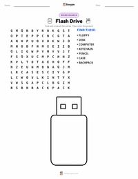 Flash Drive printable worksheet preview