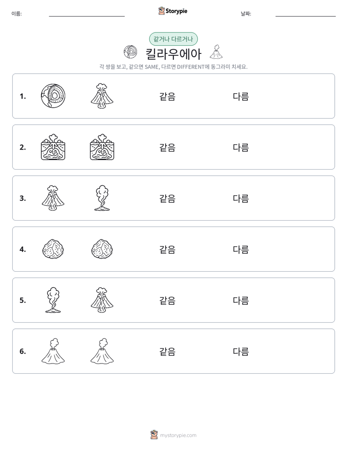 같은 것 또는 다른 것