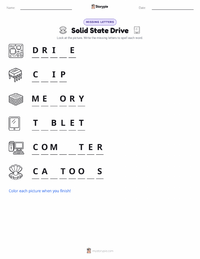 Solid State Drive printable worksheet preview