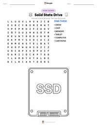 Solid State Drive printable worksheet preview