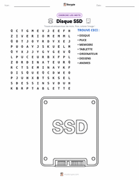 Aperçu de la feuille de travail imprimable Disque SSD