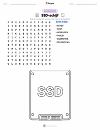 Solid State Drive afdrukbare werkblad voorbeeld