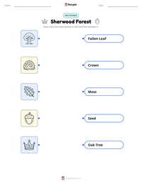 Sherwood Forest printable worksheet preview