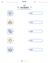 舍伍德森林 可打印工作表预览