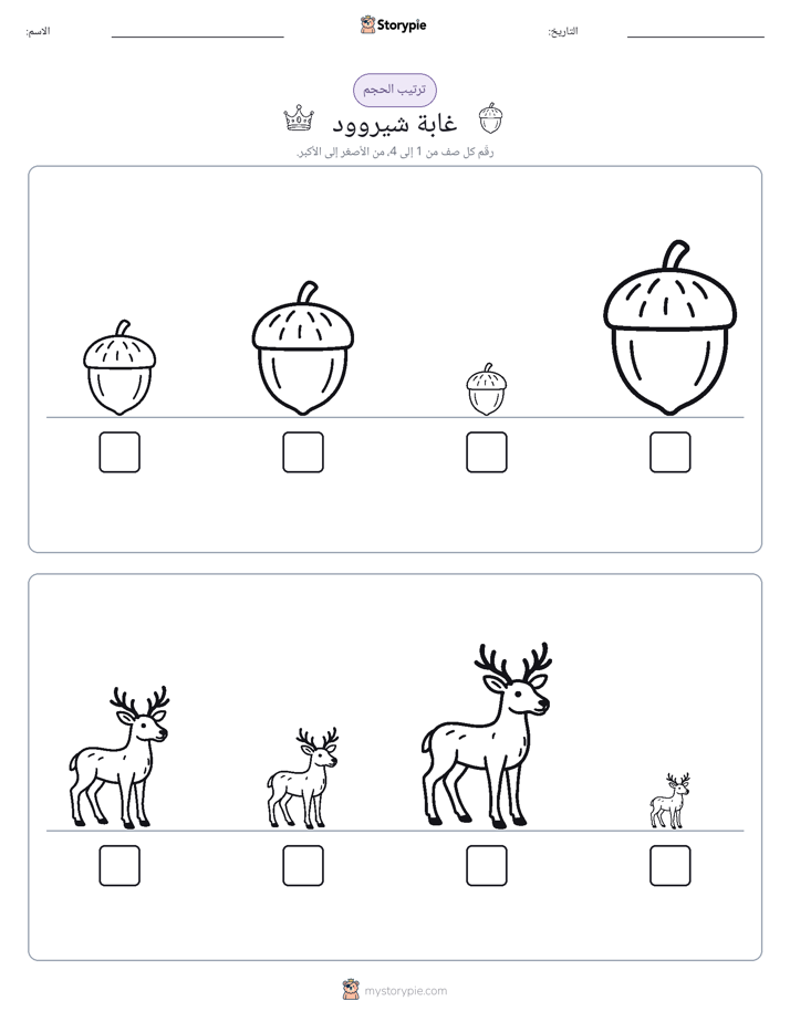 ترتيب الحجم