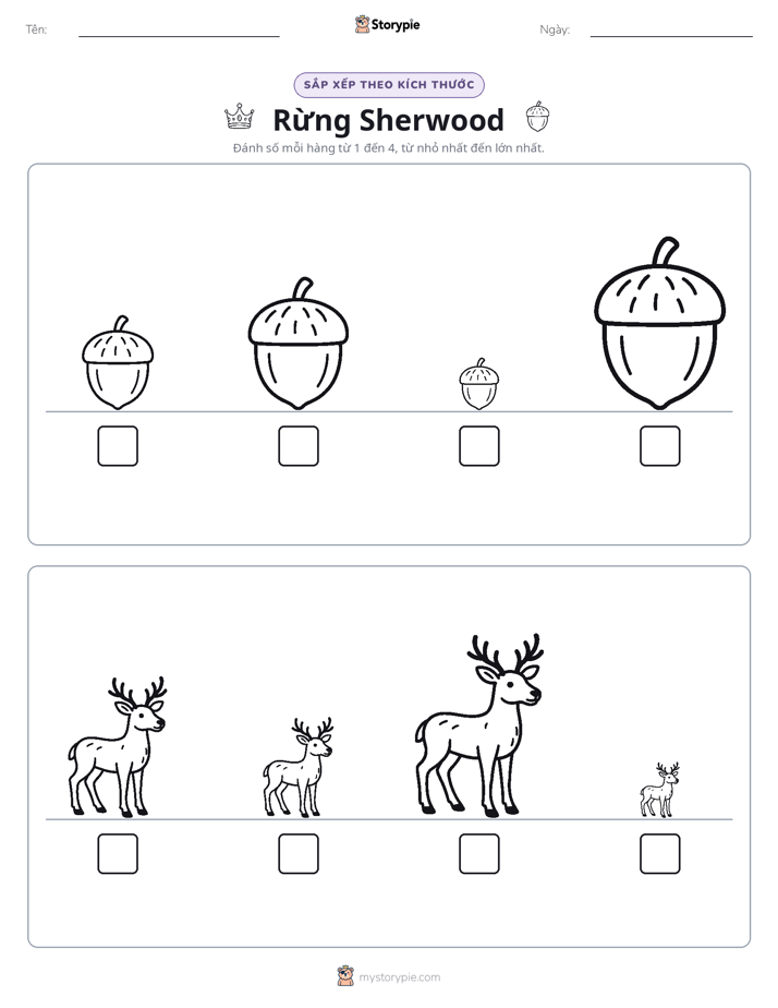 Thứ Tự Kích Thước