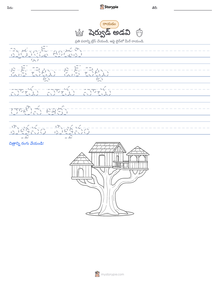 రాయడం సాధన