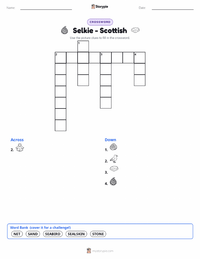 Selkie - Scottish printable worksheet preview