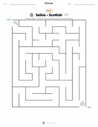 Selkie - Scottish printable worksheet preview