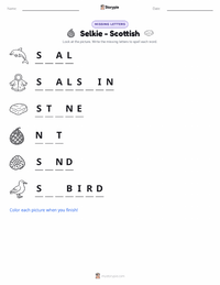 Selkie - Scottish printable worksheet preview