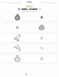 Selkie - Scottish printable worksheet preview