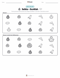 Selkie - Scottish printable worksheet preview