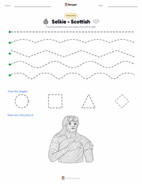 Selkie - Scottish printable worksheet preview