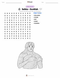 Selkie - Scottish printable worksheet preview