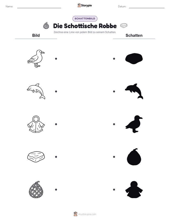 Schattenmatch