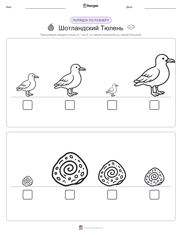 Размеры в порядке