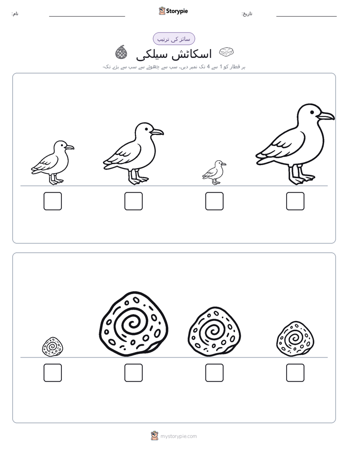 سائز کی ترتیب