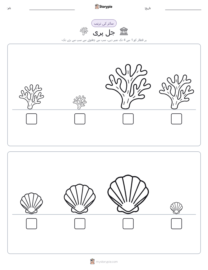 سائز کی ترتیب