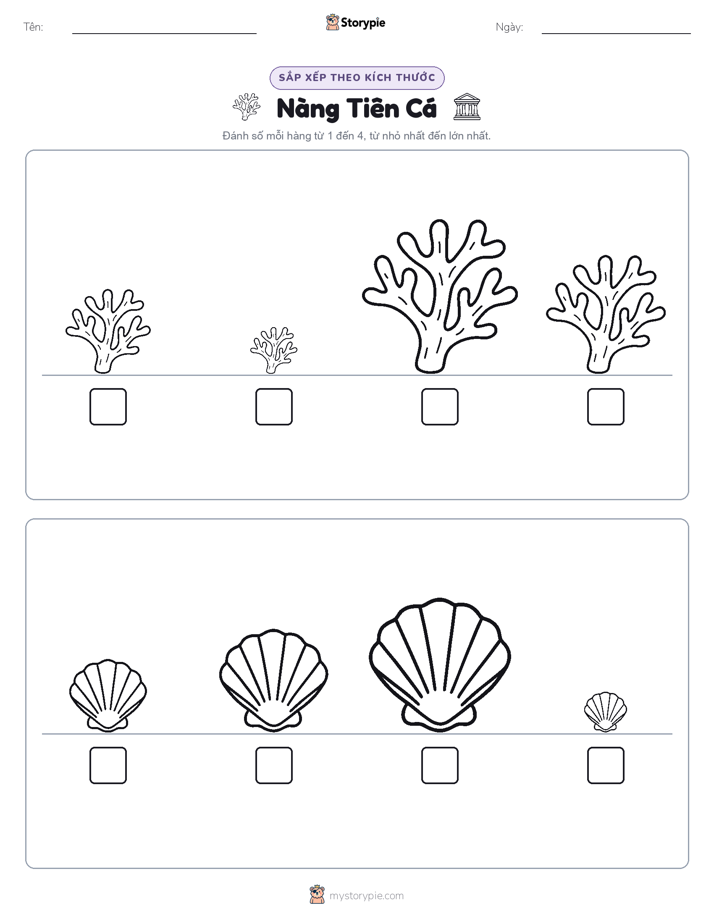 Thứ Tự Kích Thước