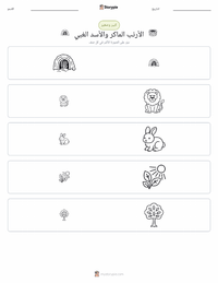 معاينة ورقة العمل القابلة للطباعة الأرنب الذكي والأسد الأحمق - حكاية هندية