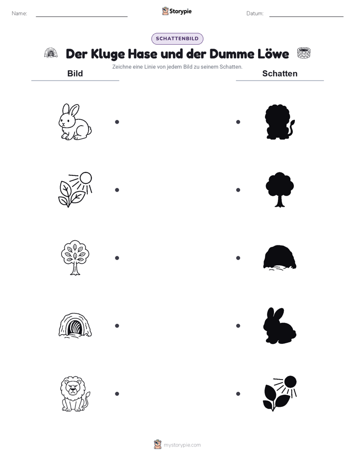 Schattenmatch