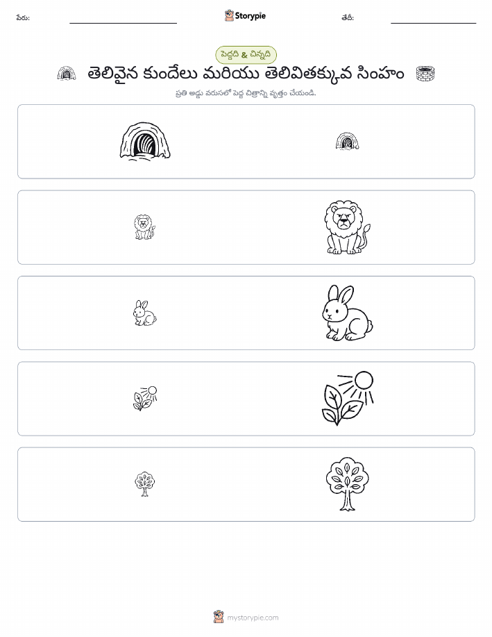 వర్గీకరణ