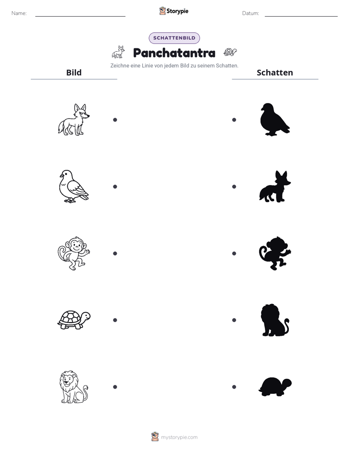 Schattenmatch