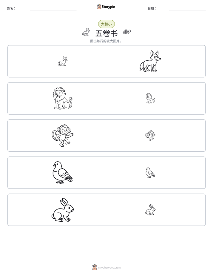 分类