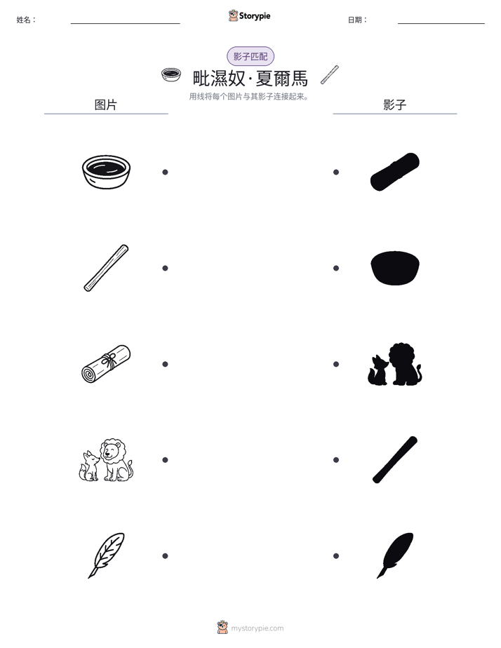 影子匹配