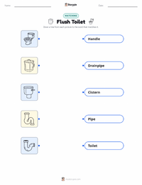 Flush Toilet printable worksheet for kids