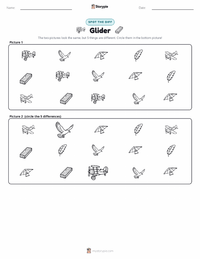 Glider printable worksheet preview