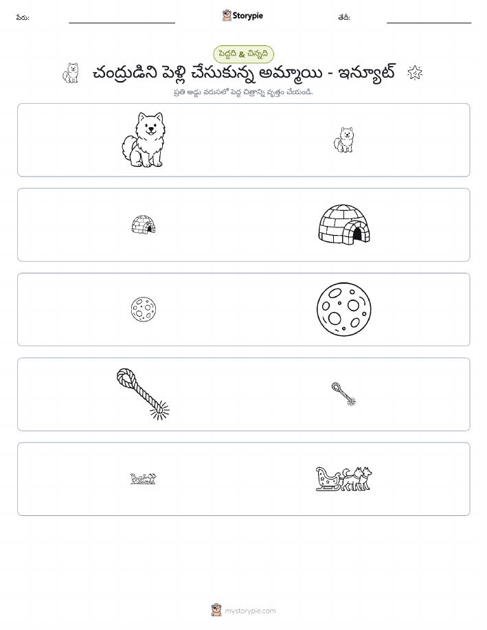 వర్గీకరణ