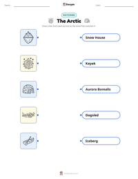 The Arctic printable worksheet preview