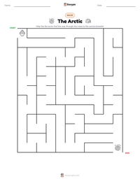 The Arctic printable worksheet preview