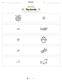 The Arctic printable worksheet preview