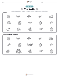 The Arctic printable worksheet preview