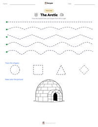 The Arctic printable worksheet preview