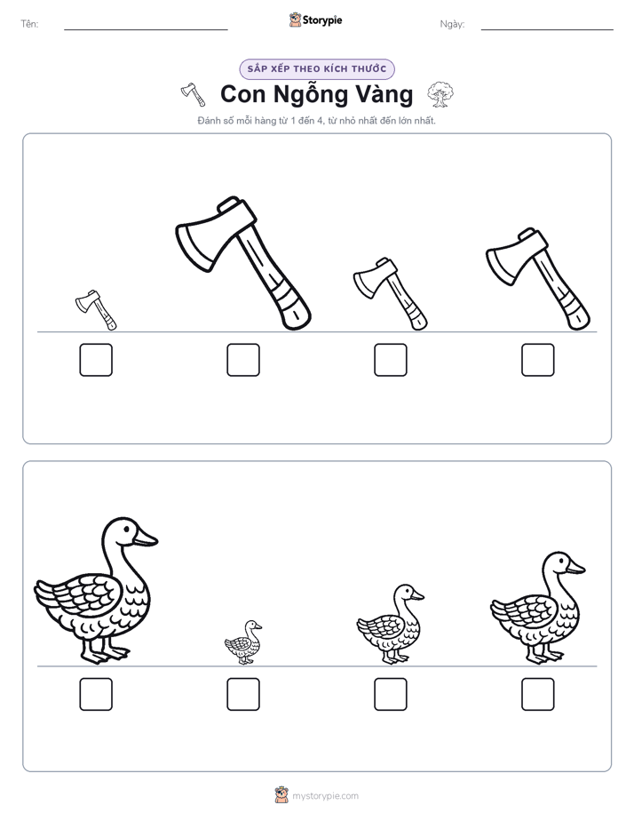 Thứ Tự Kích Thước