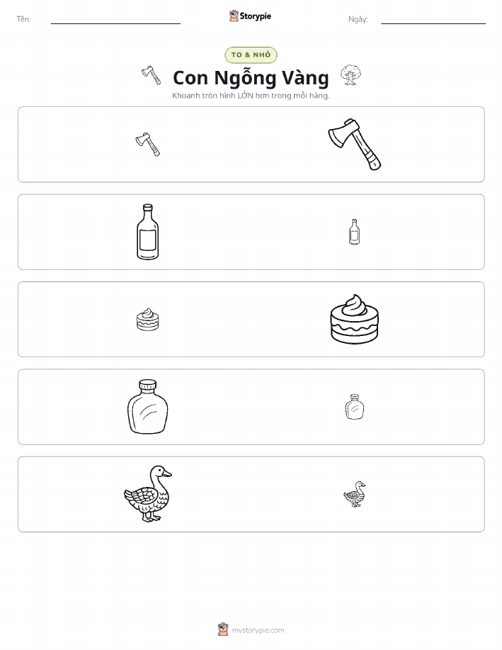 Phân Loại