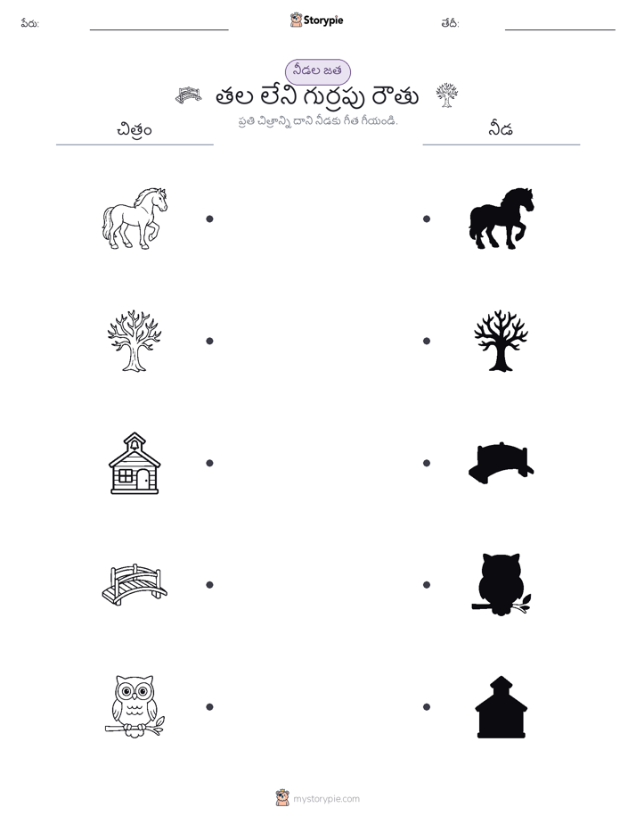 షాడో మ్యాచ్