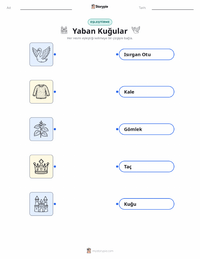 Yaban Kuğuları - Danimarka çocuklar için yazdırılabilir çalışma sayfası