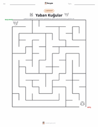 Yaban Kuğuları - Danimarka yazdırılabilir çalışma sayfası önizlemesi