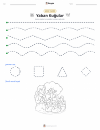 Yaban Kuğuları - Danimarka yazdırılabilir çalışma sayfası önizlemesi