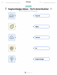 Kaplumbağa Adası - Yerli Amerikalı çocuklar için yazdırılabilir çalışma sayfası
