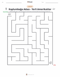 Kaplumbağa Adası - Yerli Amerikalı yazdırılabilir çalışma sayfası önizlemesi