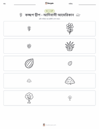 কচ্ছপ দ্বীপ - আদিবাসী আমেরিকান মুদ্রণযোগ্য কাজের পৃষ্ঠার প্রিভিউ