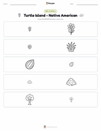 Turtle Island - Native American printable worksheet preview