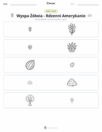 Podgląd drukowalnego arkusza ćwiczeń Wyspa Żółwia - Rdzenni Amerykanie
